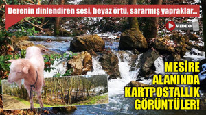 Mesire alanında kartpostallık görüntüler!
